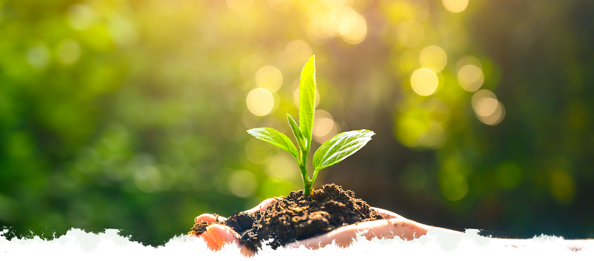 yd2333云顶电子游戏(中国)有限公司