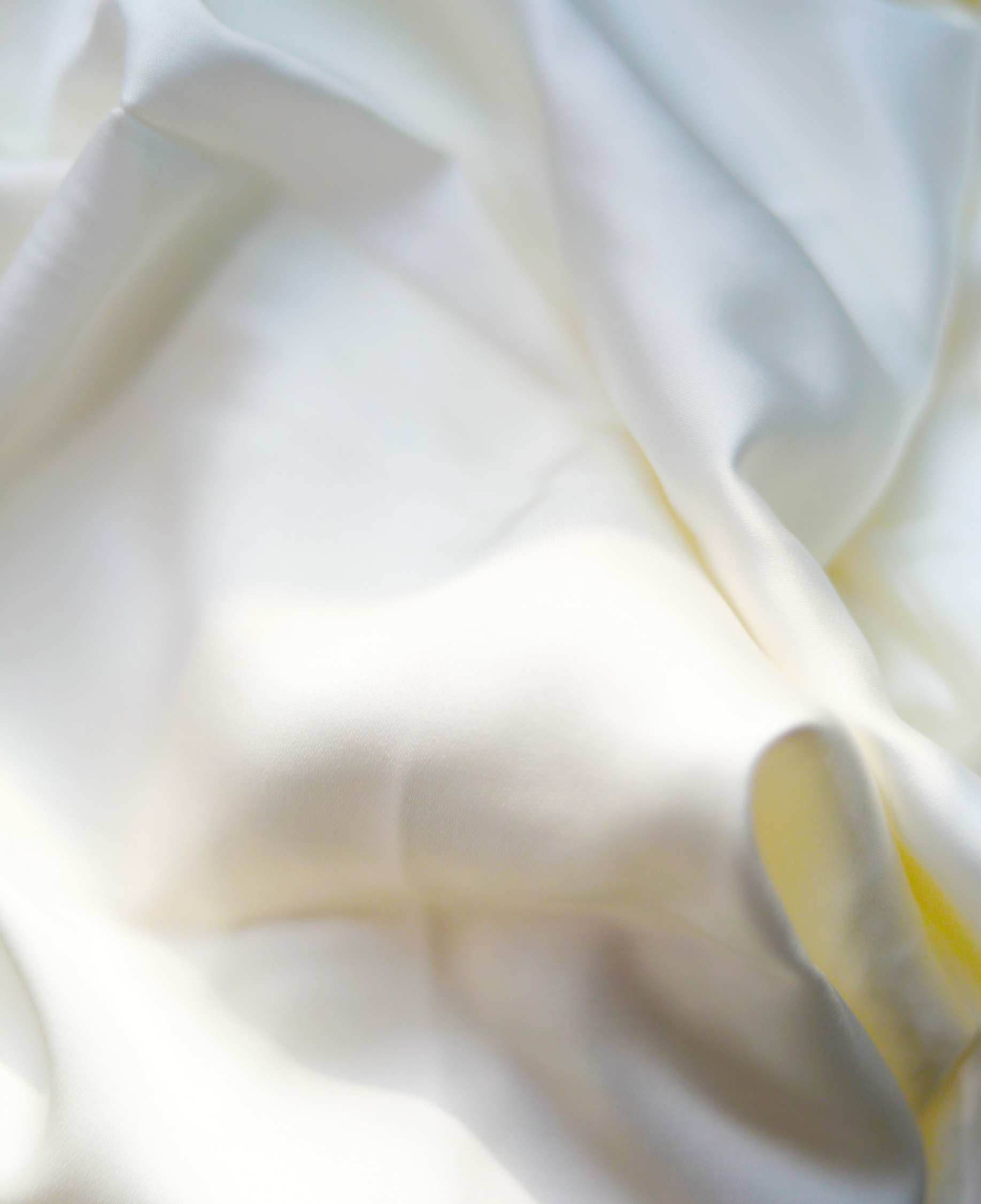 yd2333云顶电子游戏(中国)有限公司