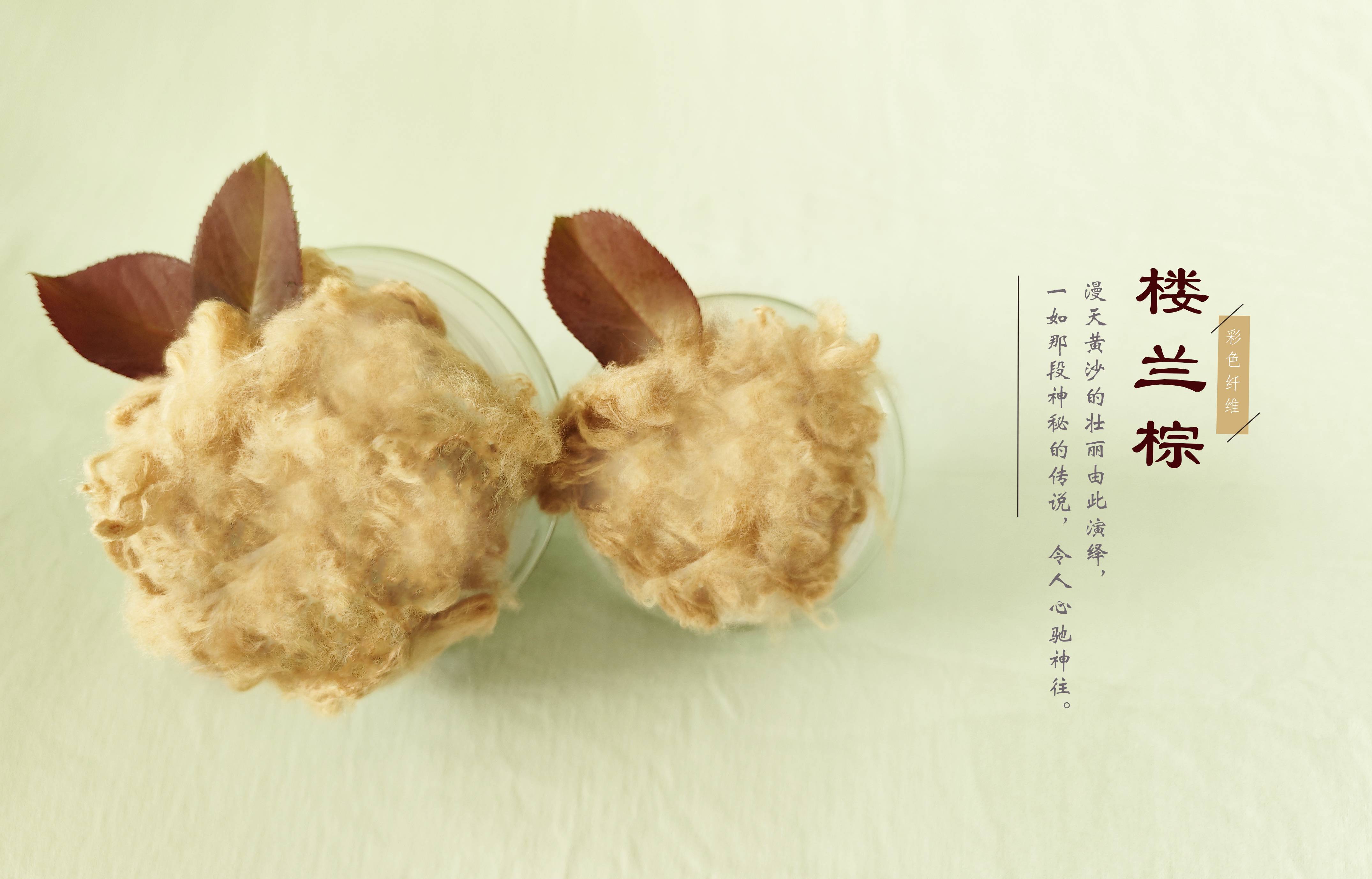 yd2333云顶电子游戏(中国)有限公司