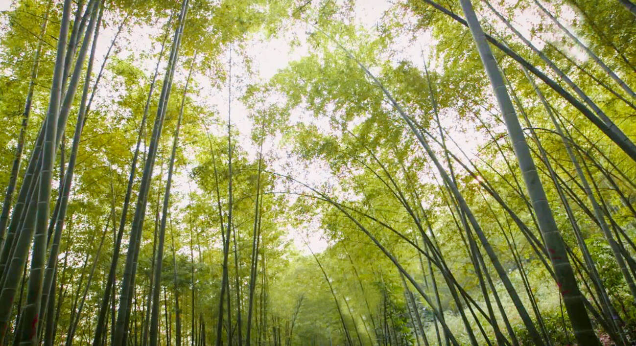 yd2333云顶电子游戏(中国)有限公司