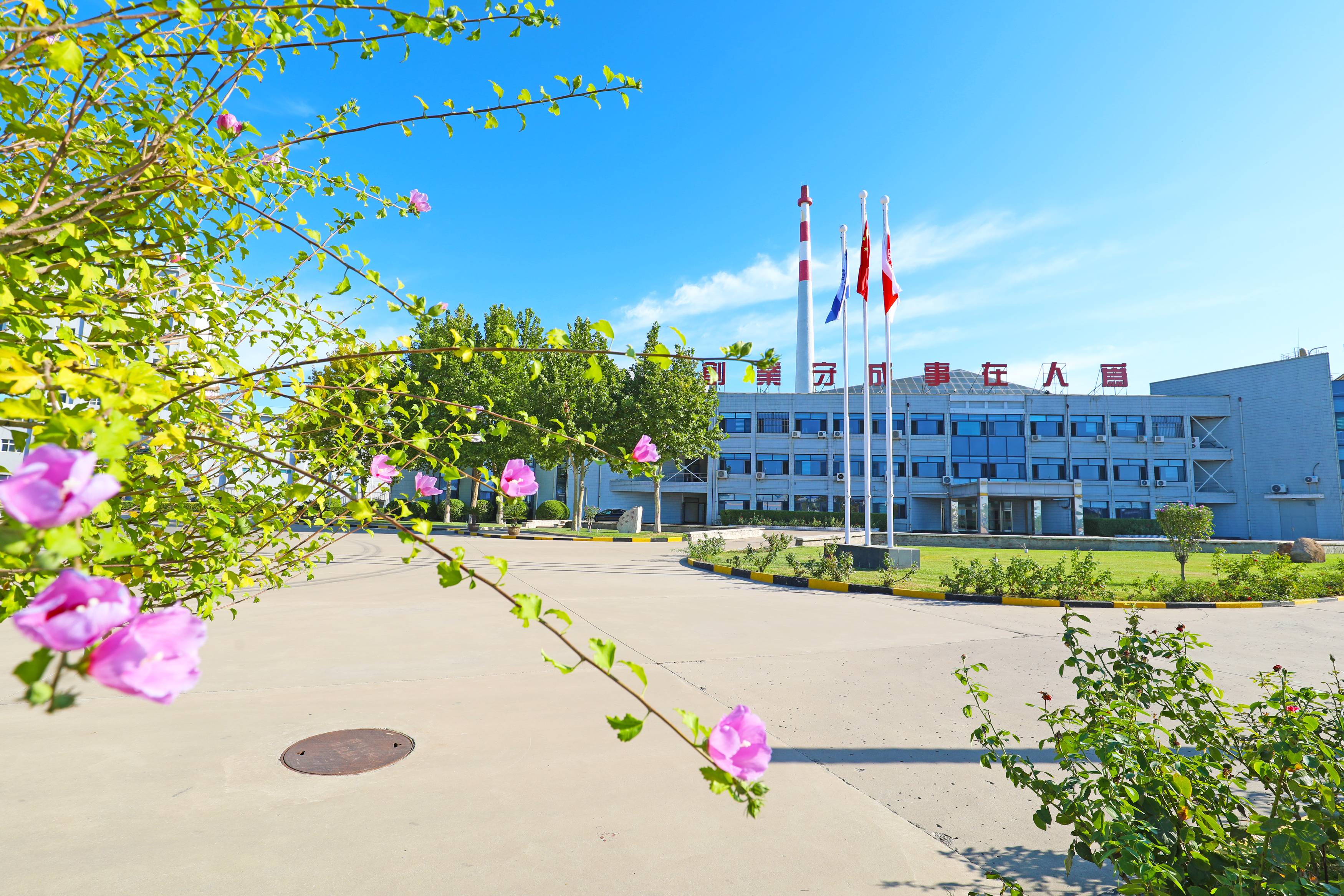 yd2333云顶电子游戏(中国)有限公司