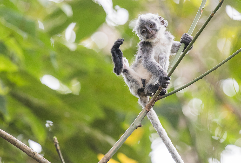 yd2333云顶电子游戏(中国)有限公司